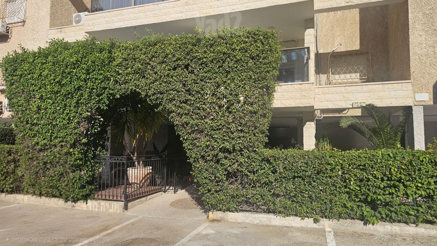 קדיש לוז 24