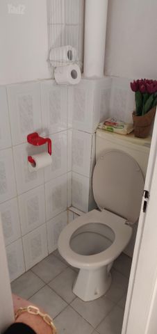 דוד בר רב האי 48
