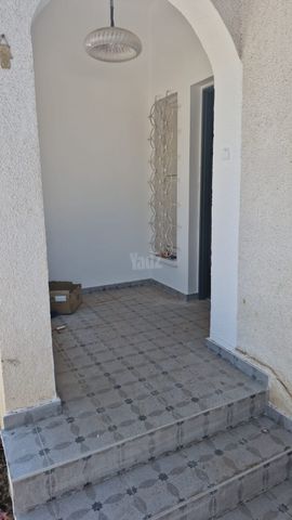 ז'בוטינסקי 46
