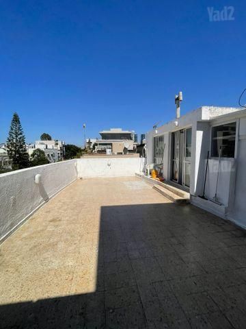 גג/ פנטהאוז להשכרה בתל אביב יפו — 4