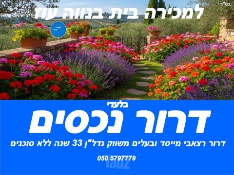 אמיר גלבוע 