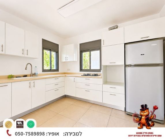 שיינקין 