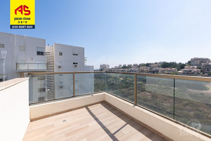 משה גוט לוין 