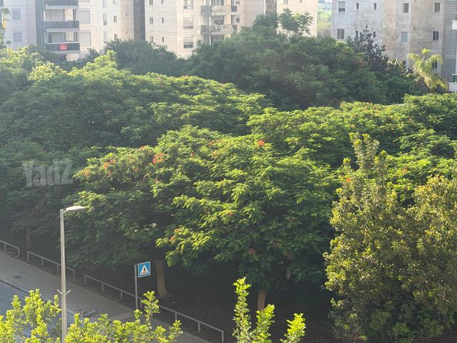 אזורי חן, גימל החדשה