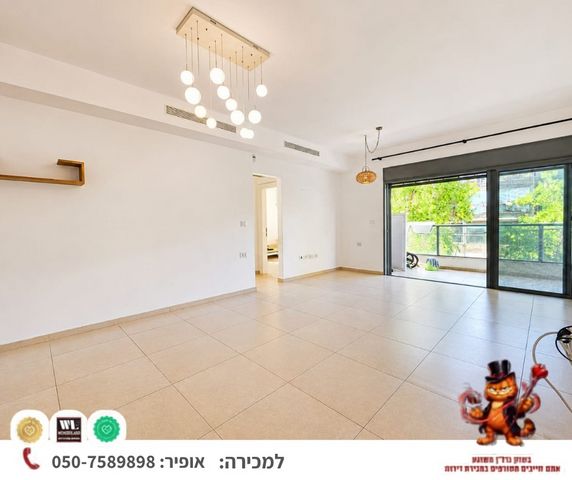 שיינקין 