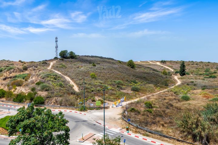ארגמן