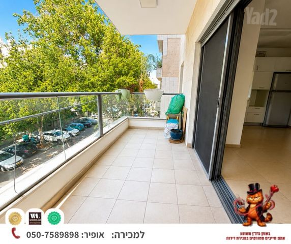 שיינקין 