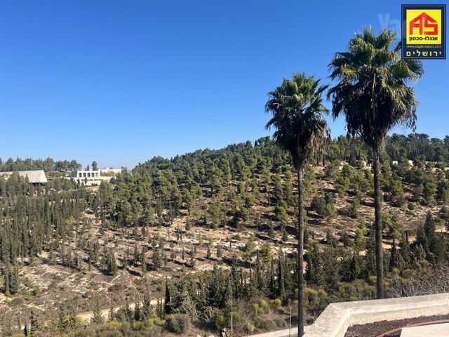 שמריהו לוין 