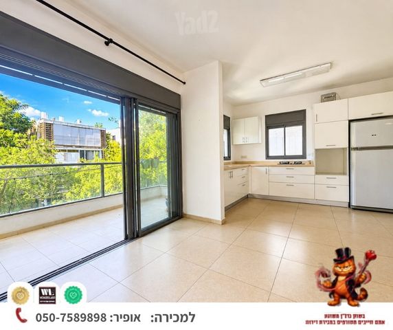 שיינקין 