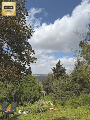 משק חקלאי/ נחלה למכירה ברמת רזיאל (תיווך) — 3