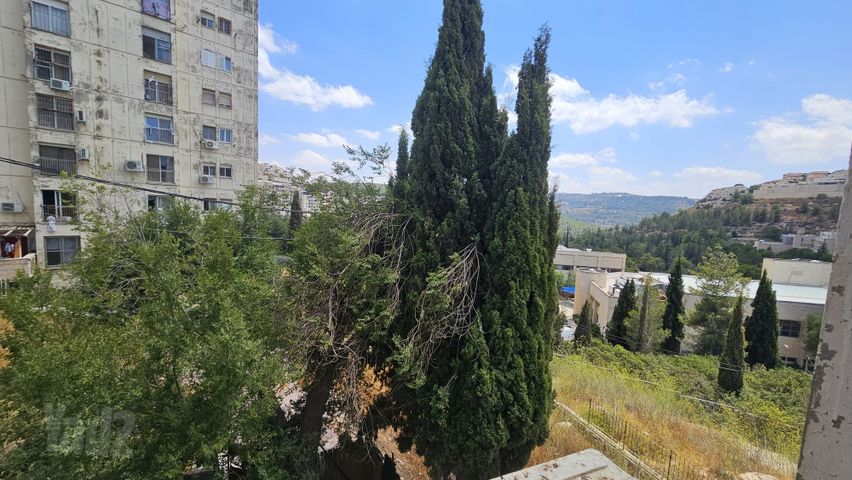 אברהם שטרן 