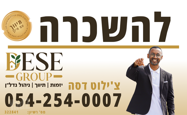 ארז 