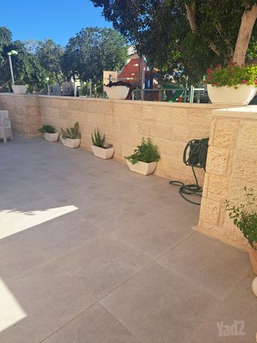 השיקמה 19