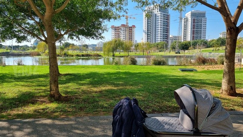 שניר 8