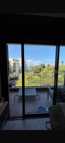 יואב 18