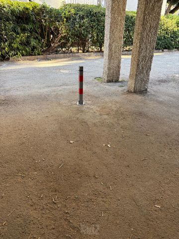 שברץ 25