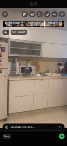 השיקמה 30
