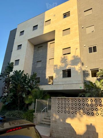 משה לרר 13