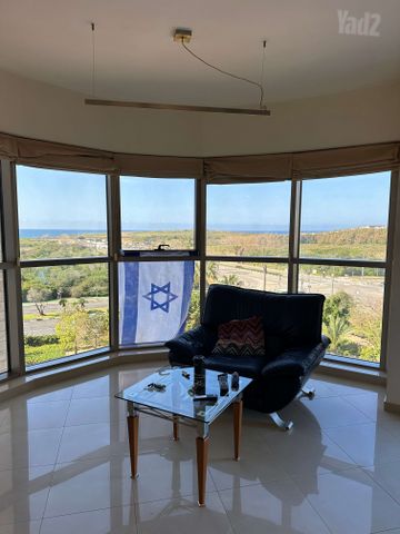 אלי כהן 3