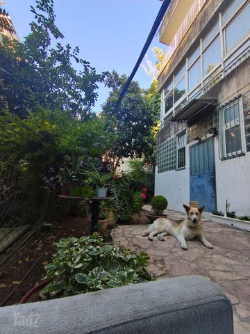 דירת גן להשכרה בירושלים — 5