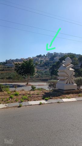 אתרוג 1