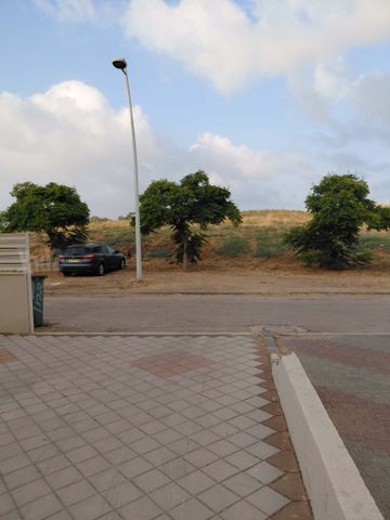 הרימון 1