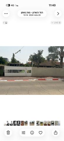 החשמונאים 14