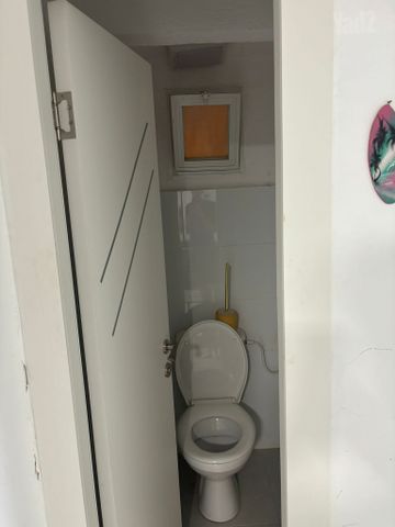 פרויד 6