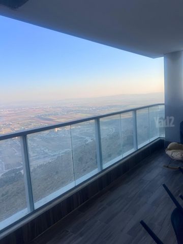 יזרעאל 31
