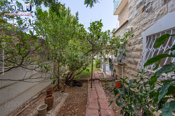 דוכיפת 13