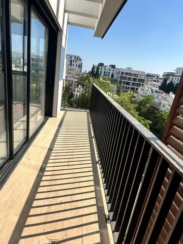 אורן 