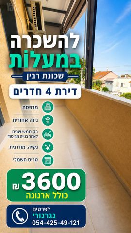 דוד המלך 