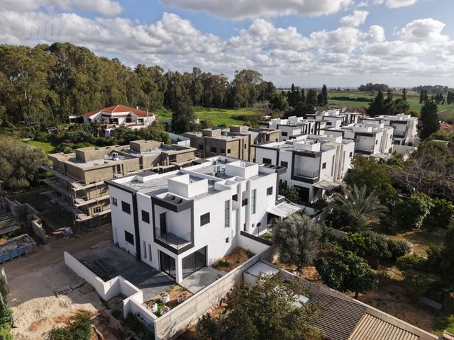 הברוש 6