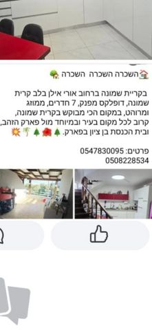 אורי אילן 6