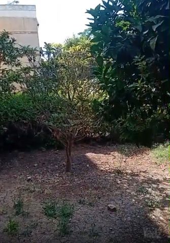 הפרטיזנים 5