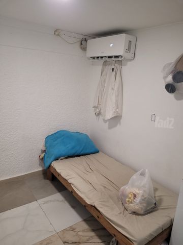 הרב מצליח 10