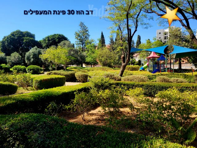 דב הוז 30