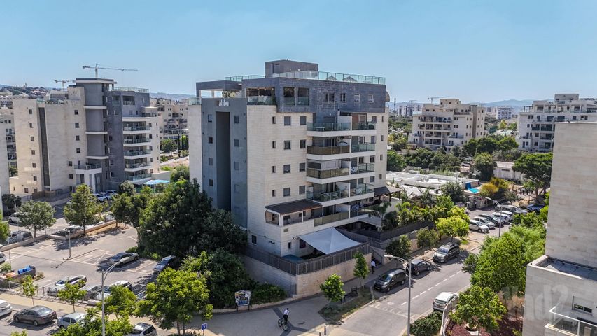 אורן 80