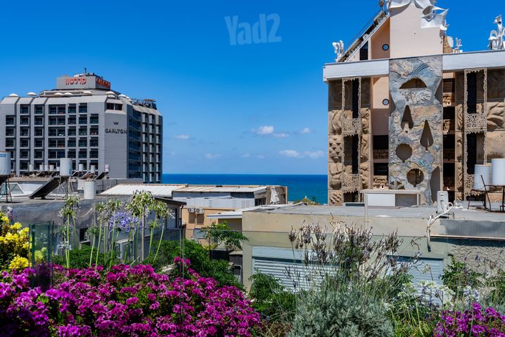 גג/ פנטהאוז למכירה בתל אביב יפו (תיווך) — 2