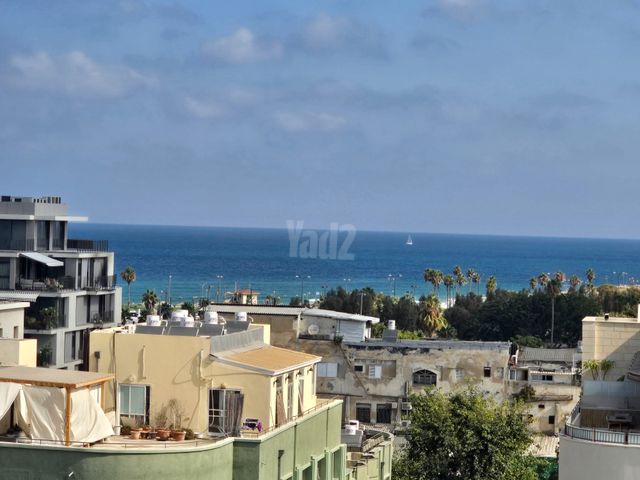 גג/ פנטהאוז להשכרה בתל אביב יפו (תיווך) — 3