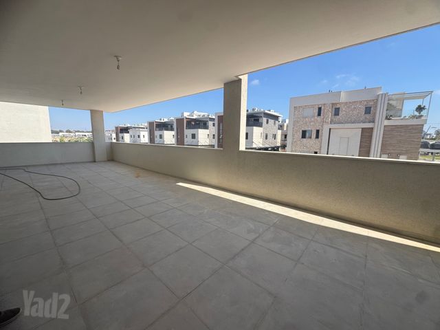 אור ים