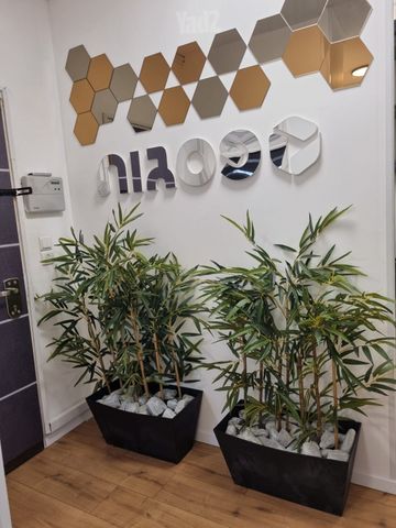 ציזלינג 26