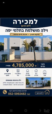 הדקל 1