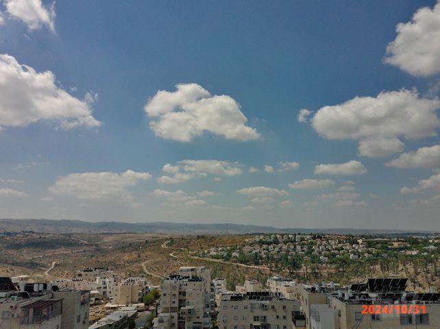 שאגת אריה 6