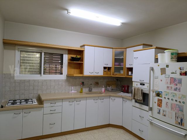 דוד ניב 23