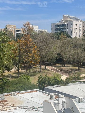 דב גרונר 1
