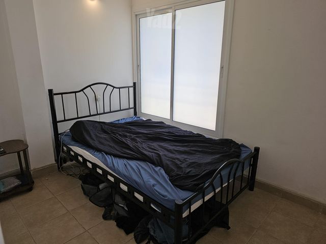 שיינקין 84