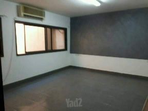 הברוש 71