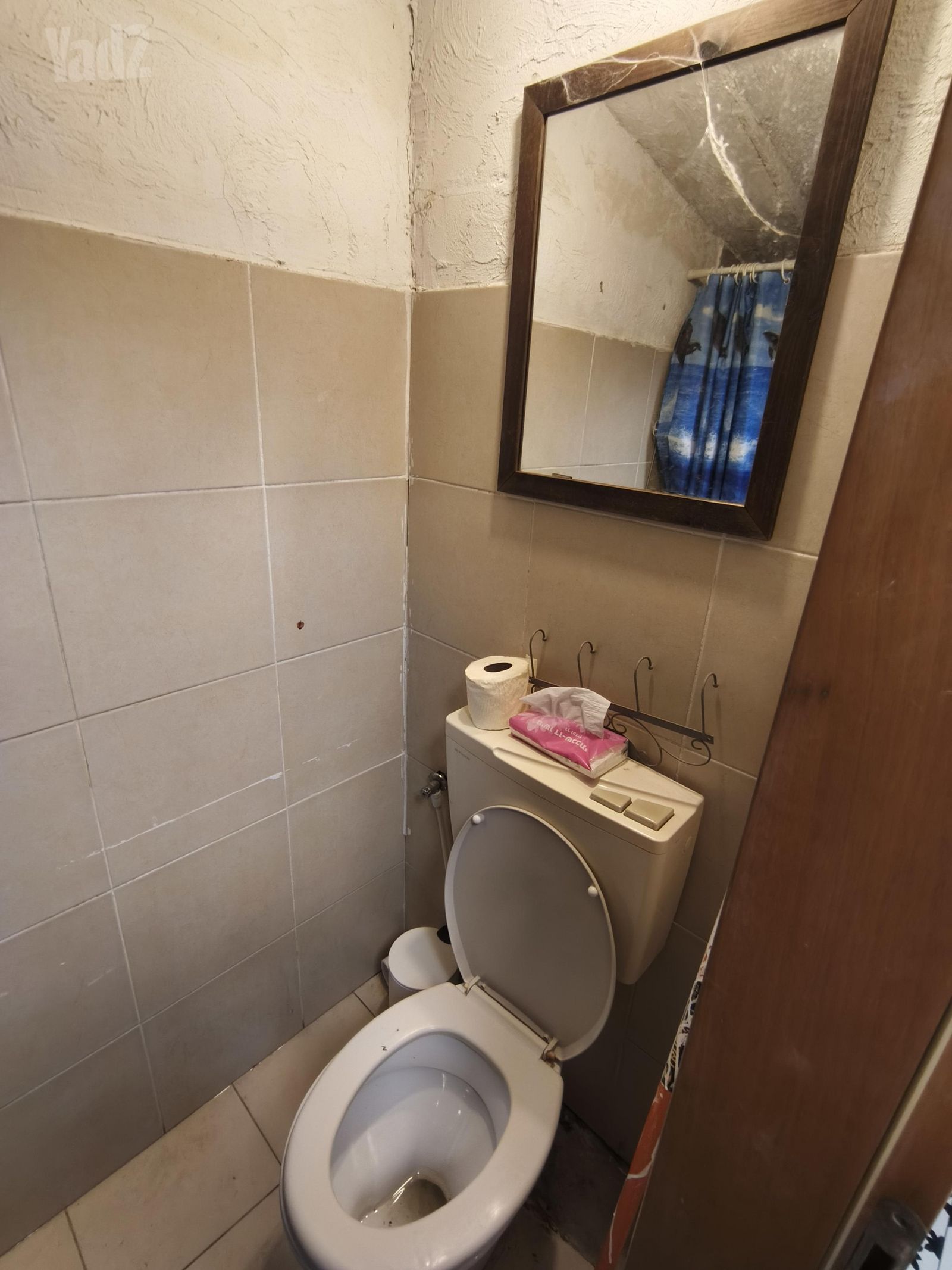 דירת גן, אלמגור 7, נווה שרת, תל אביב יפו