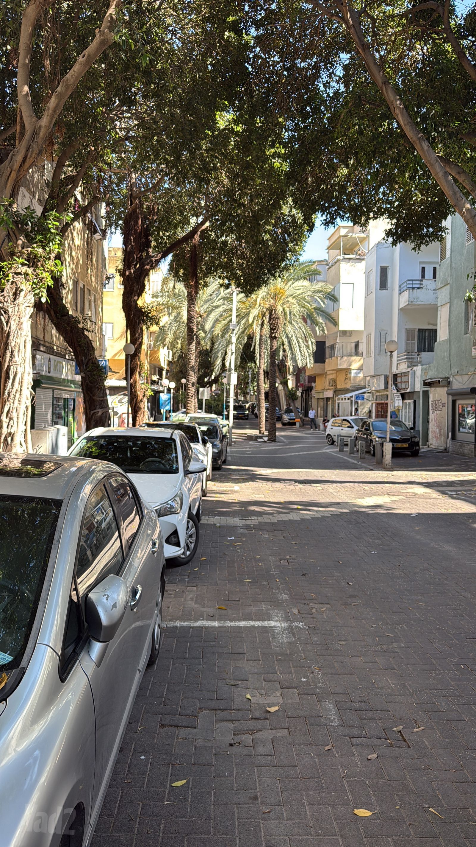 דירה, נורדאו 6, הדר מרכז, חיפה